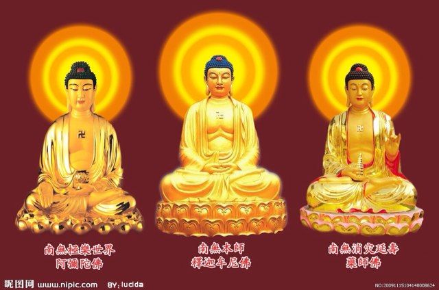 个人资料 - 陌陌|发现移动社交