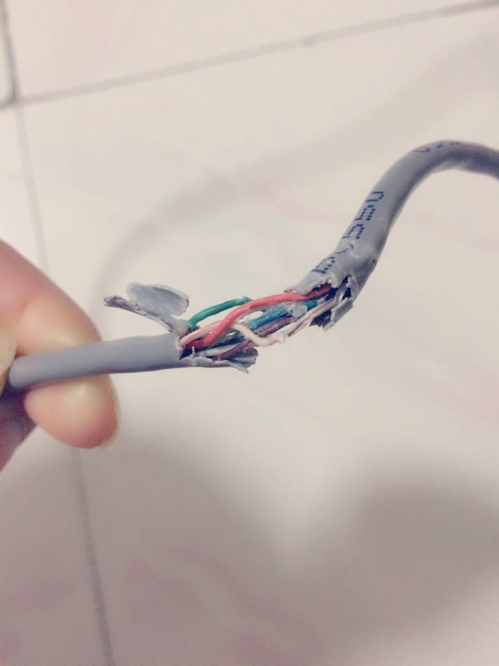 [摊手]玩的正过瘾的时候大王把网线咬断了,我能说么……[摊手]我还能