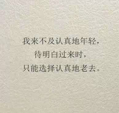 动态- 陌陌|发现移动社交