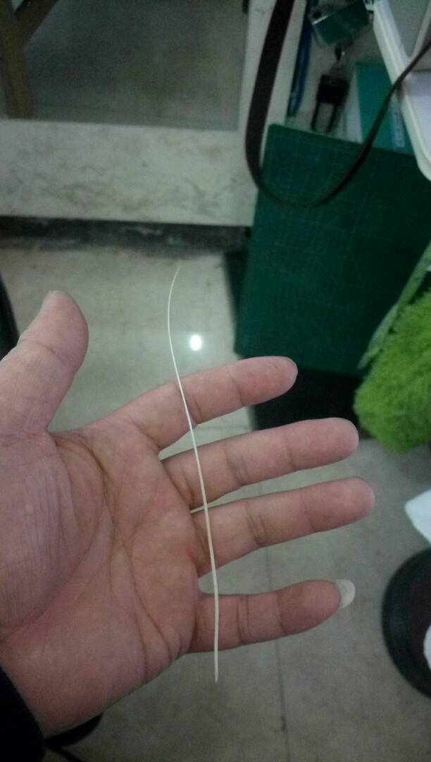 见过没?老虎胡须,我拿来做牙签剔牙用!