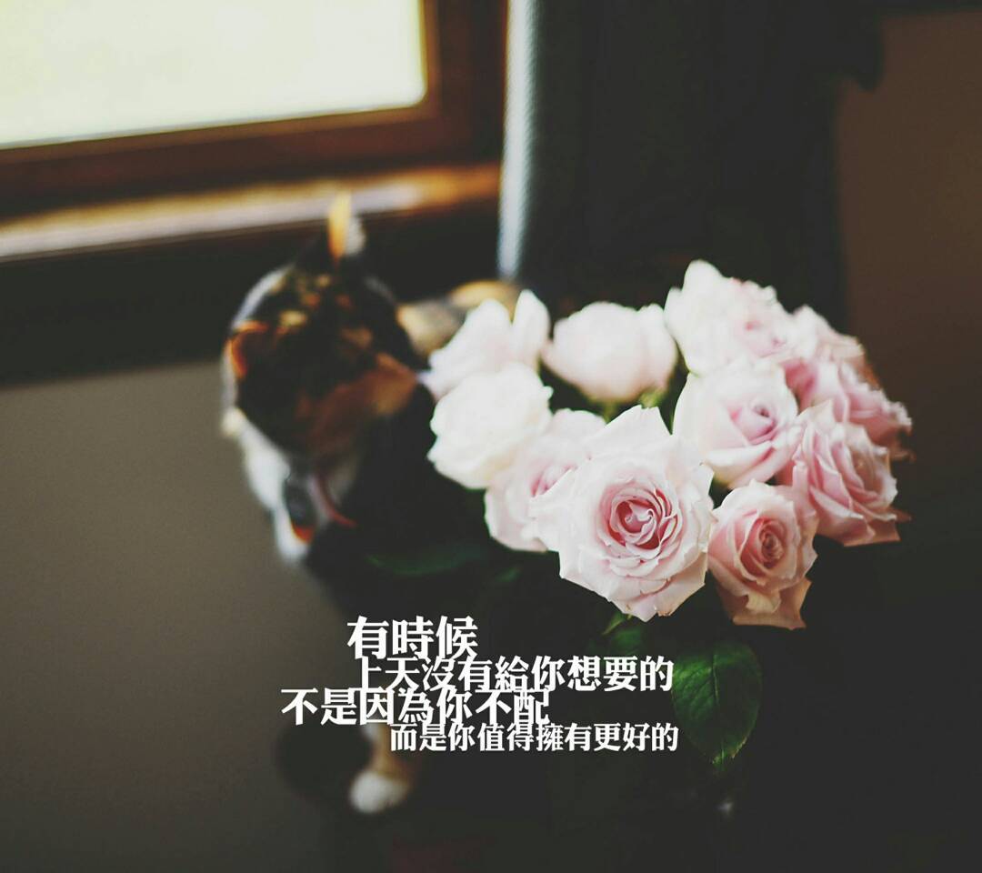 动态- 陌陌|发现移动社交