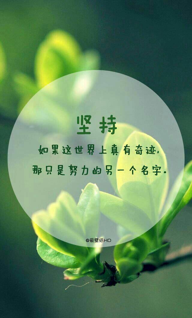 不为模糊不清的未来担忧,只为清清楚楚的现在努力. ——努力,早安!