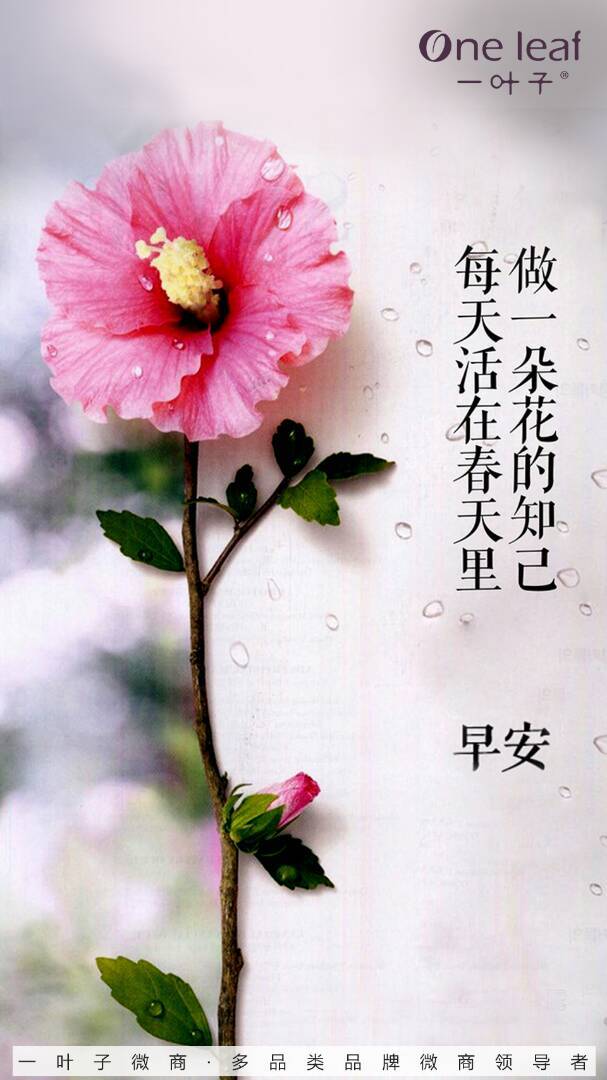 一觉睡到自然醒,精神饱满一整天,早安