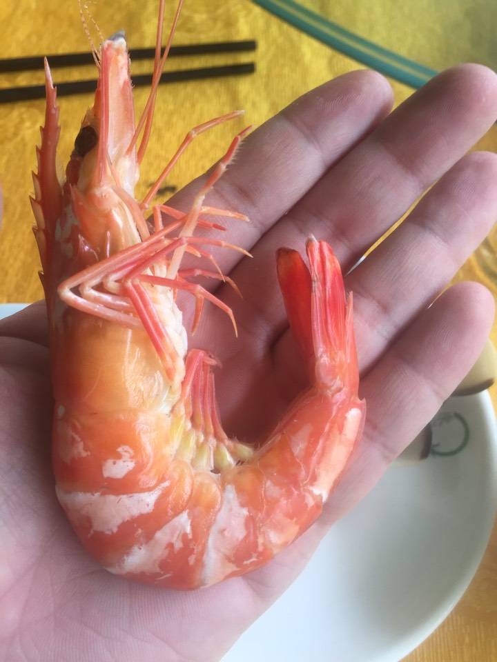 青岛大虾38一只,广东大海虾6.5元一只![色][色][色][色][色][色]