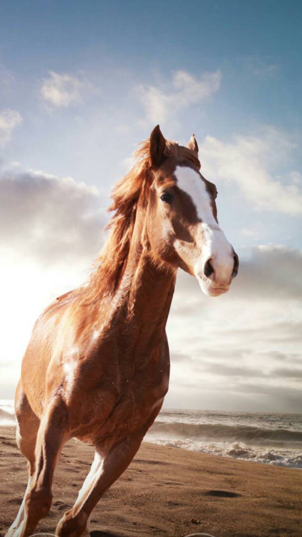 休息了两天,这过日子的匆匆忙忙,又得向光阴荏苒中马不停蹄地继续纵深