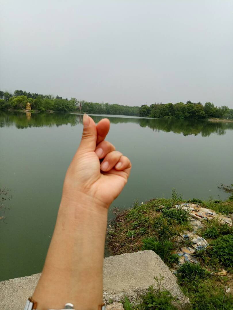 动态- 陌陌|发现移动社交