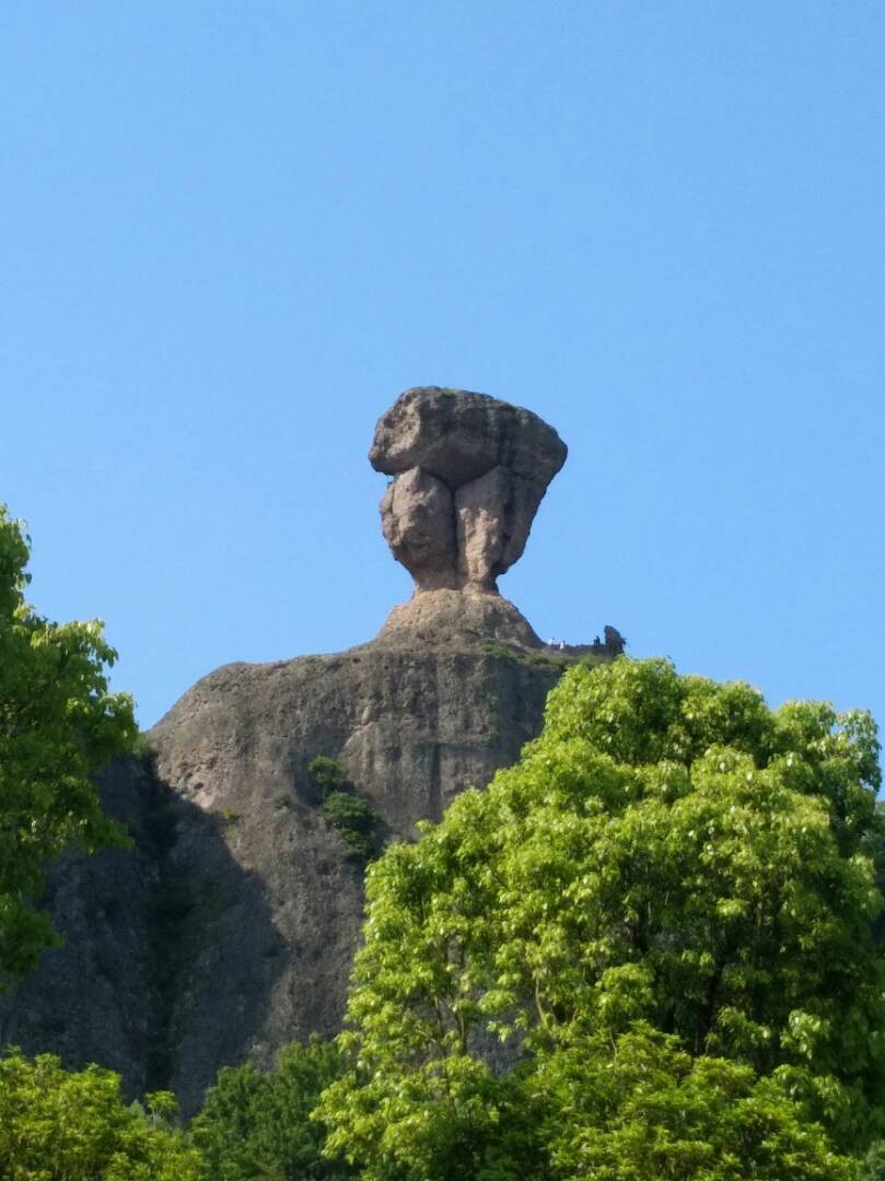 黄岩石夫人图片