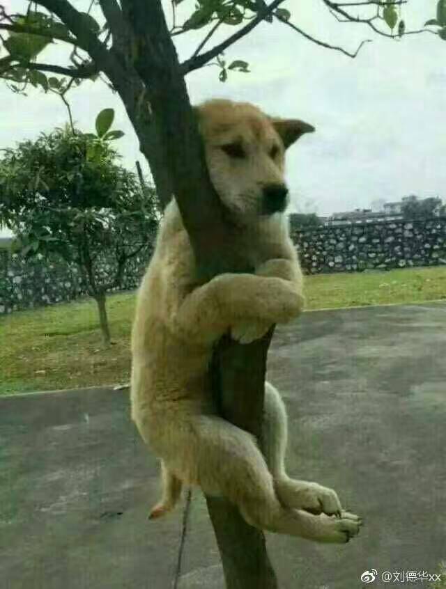 打雷了,下雨了,今天好期别发誓哟,你懂的[/哭笑]