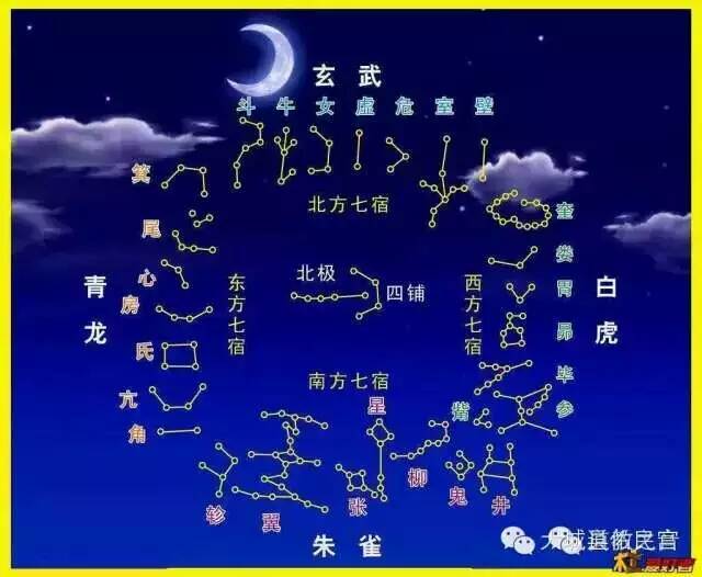 动态- 陌陌|发现移动社交