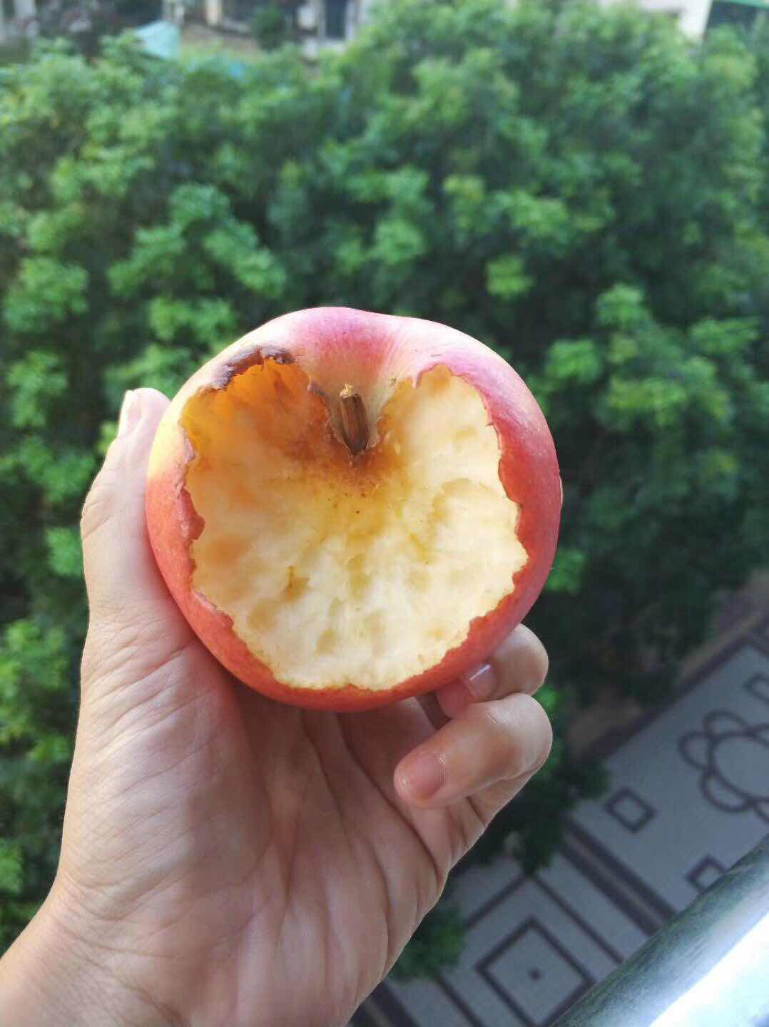 苹果!这老鼠多有爱呀,偷吃都要留个心,告诉主人,爱你[爱心]……[捂脸]